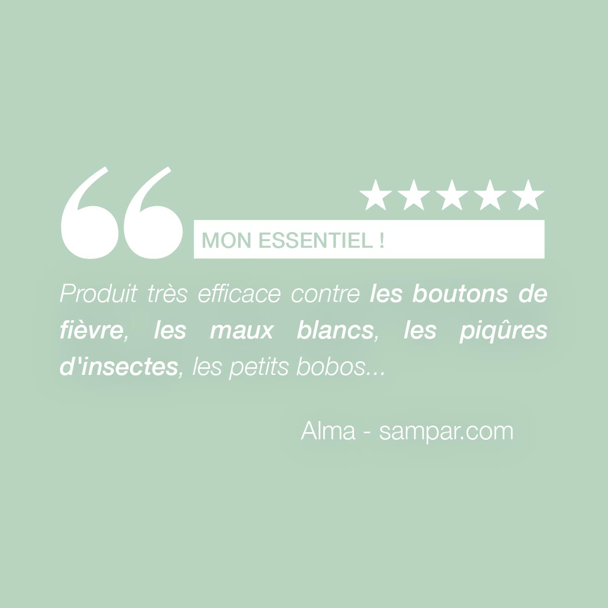 Stylo Absolu Pureté